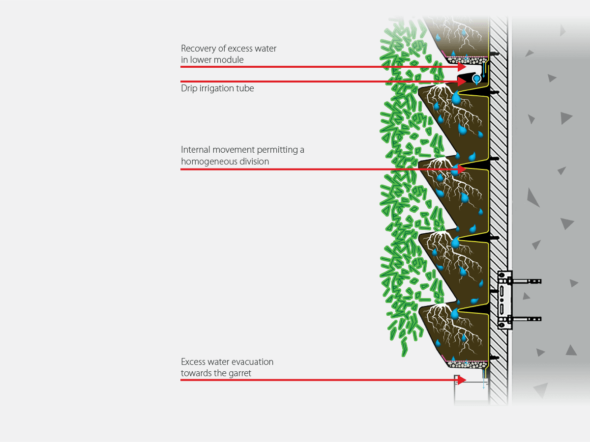 Modulogreen Living Walls – ByNaturedesign