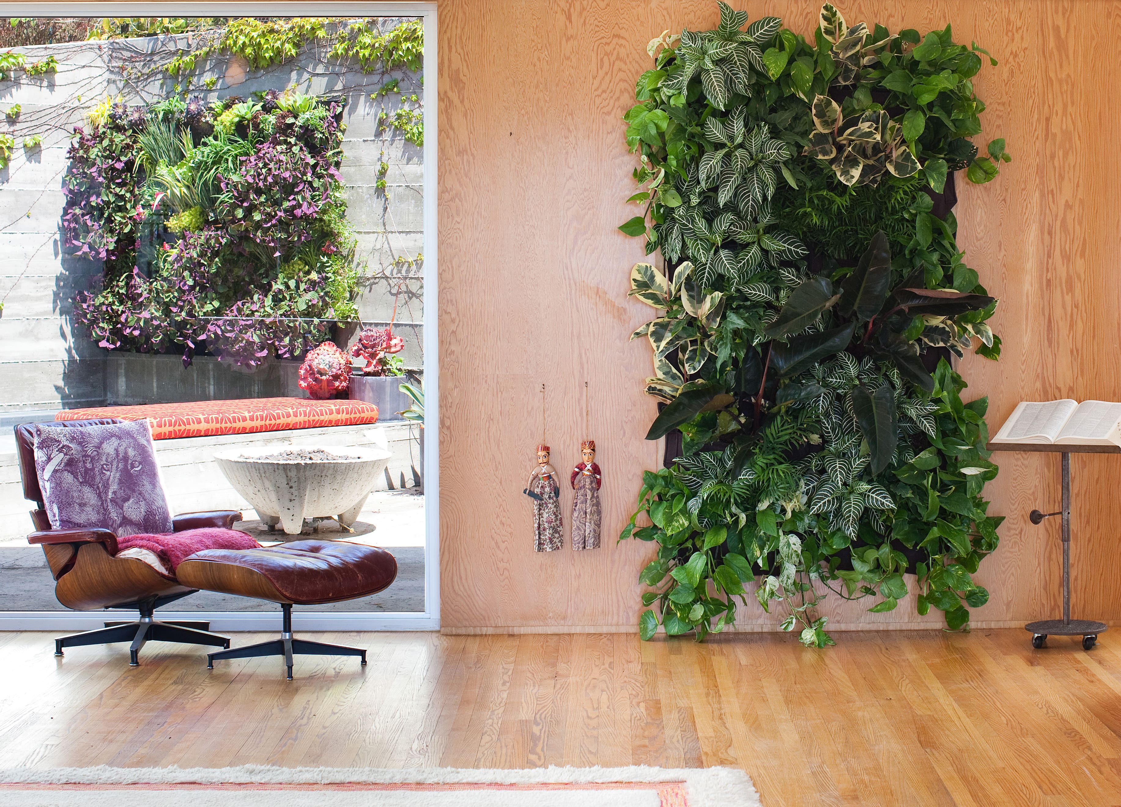 Фитостена из лиан. Живая стена из растений. Растения на стене в квартире.
