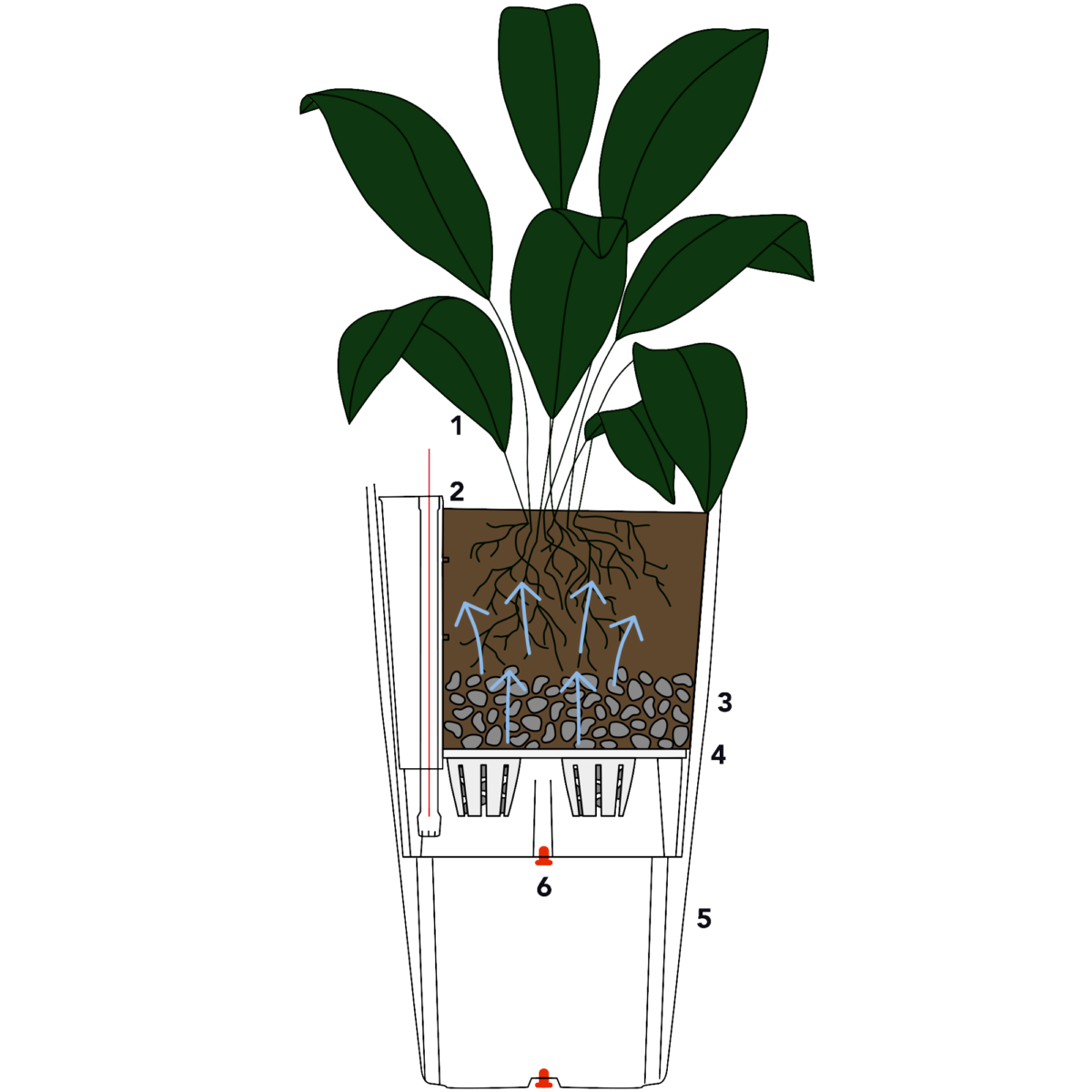 Selfwatering planters products ByNature Design