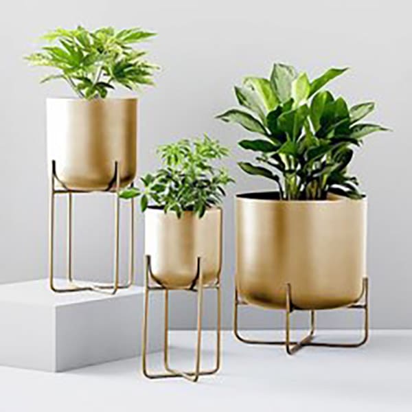 planters