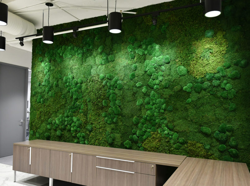 Preserved Mixed Moss Walls | ByNature Design
