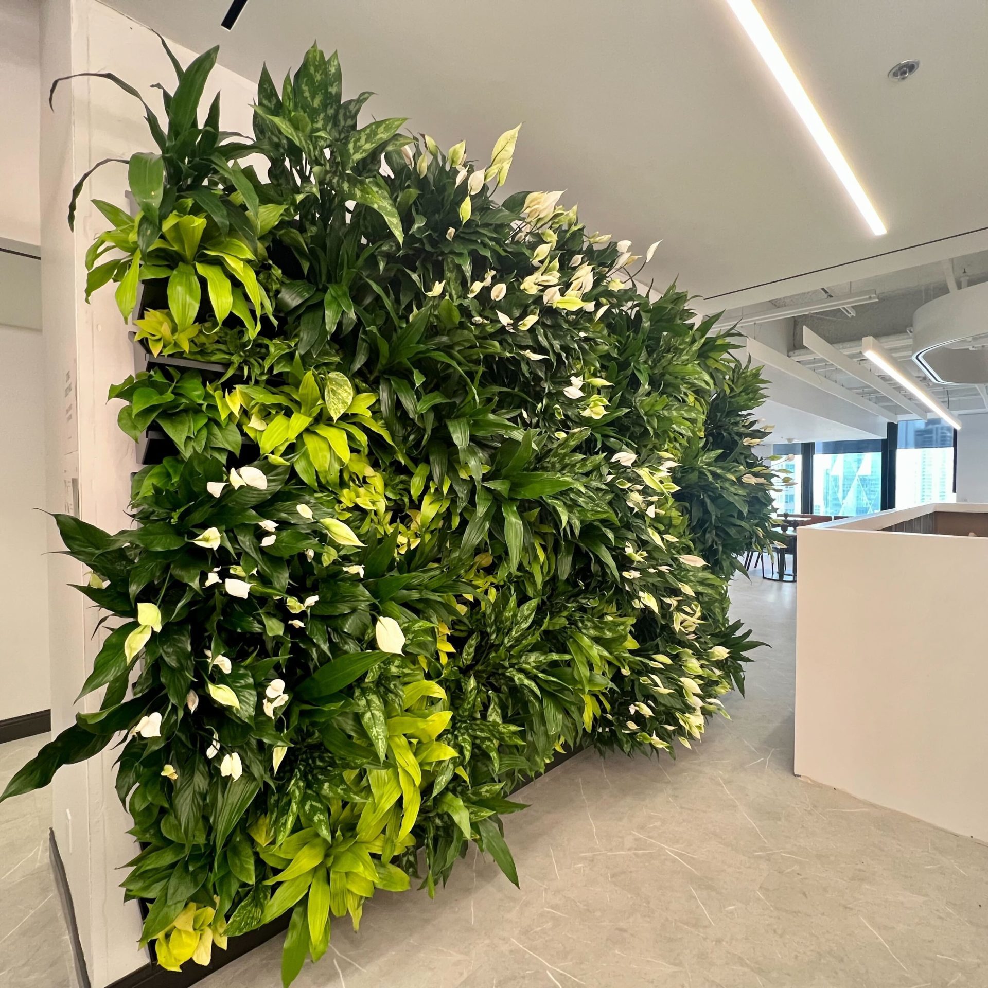 Canfor ByNature Design