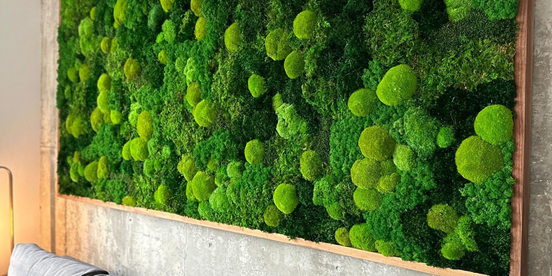 4 essential questions about moss walls