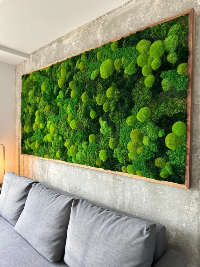 4 essential questions about moss walls