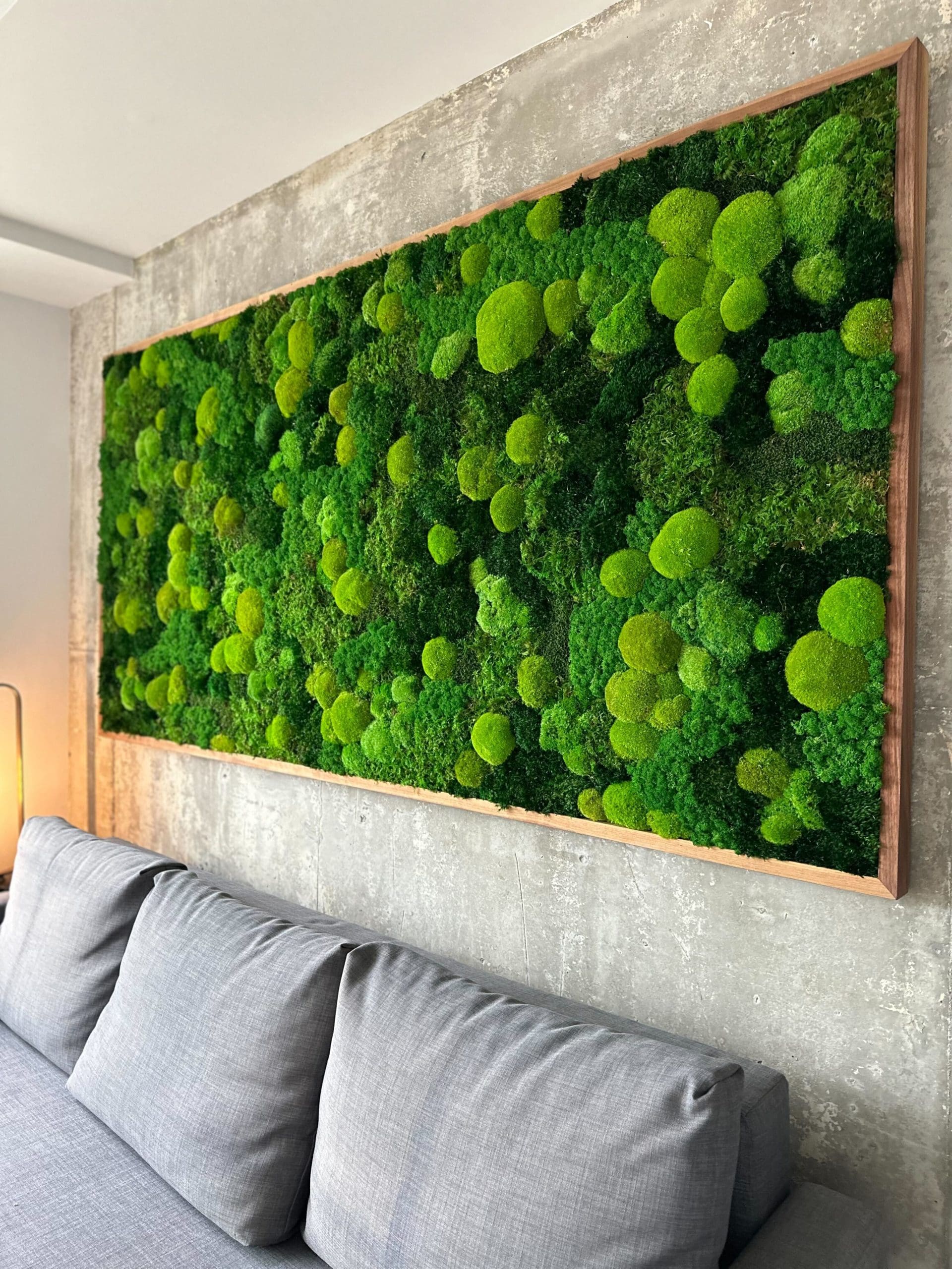 4 essential questions about moss walls - ByNature Design