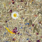 Alpine Meadow Papier Flora