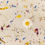 Alpine Meadow Light Papier Flora