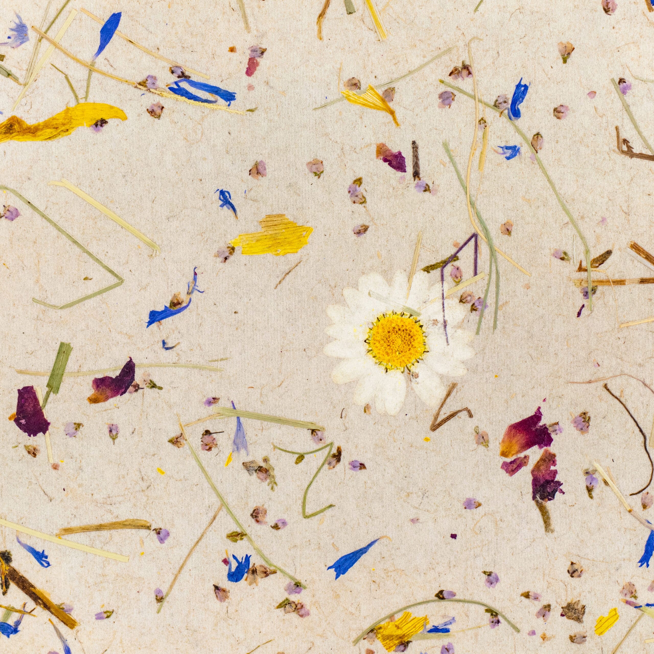 Papier Flora