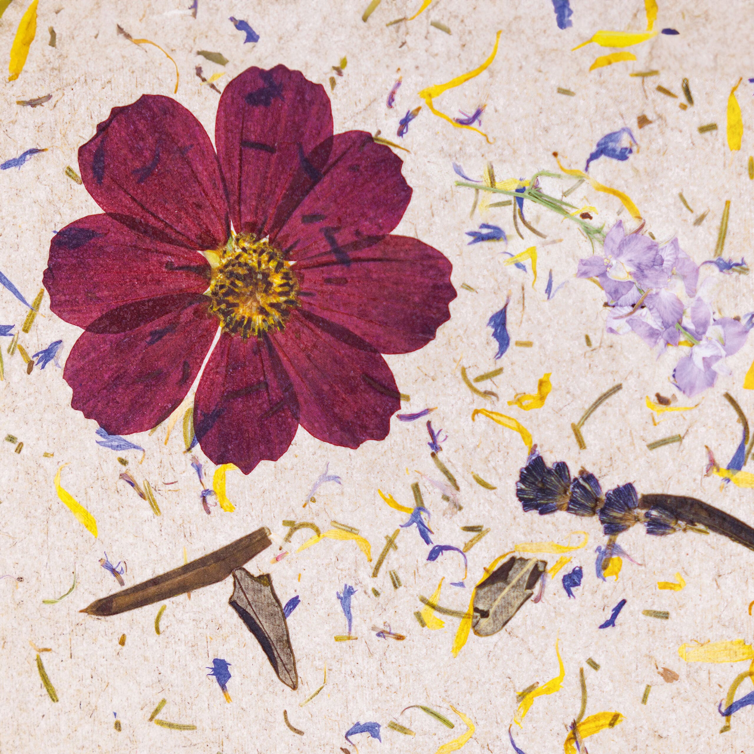 Papier Flora