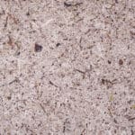 Moss Grey Papier Flora