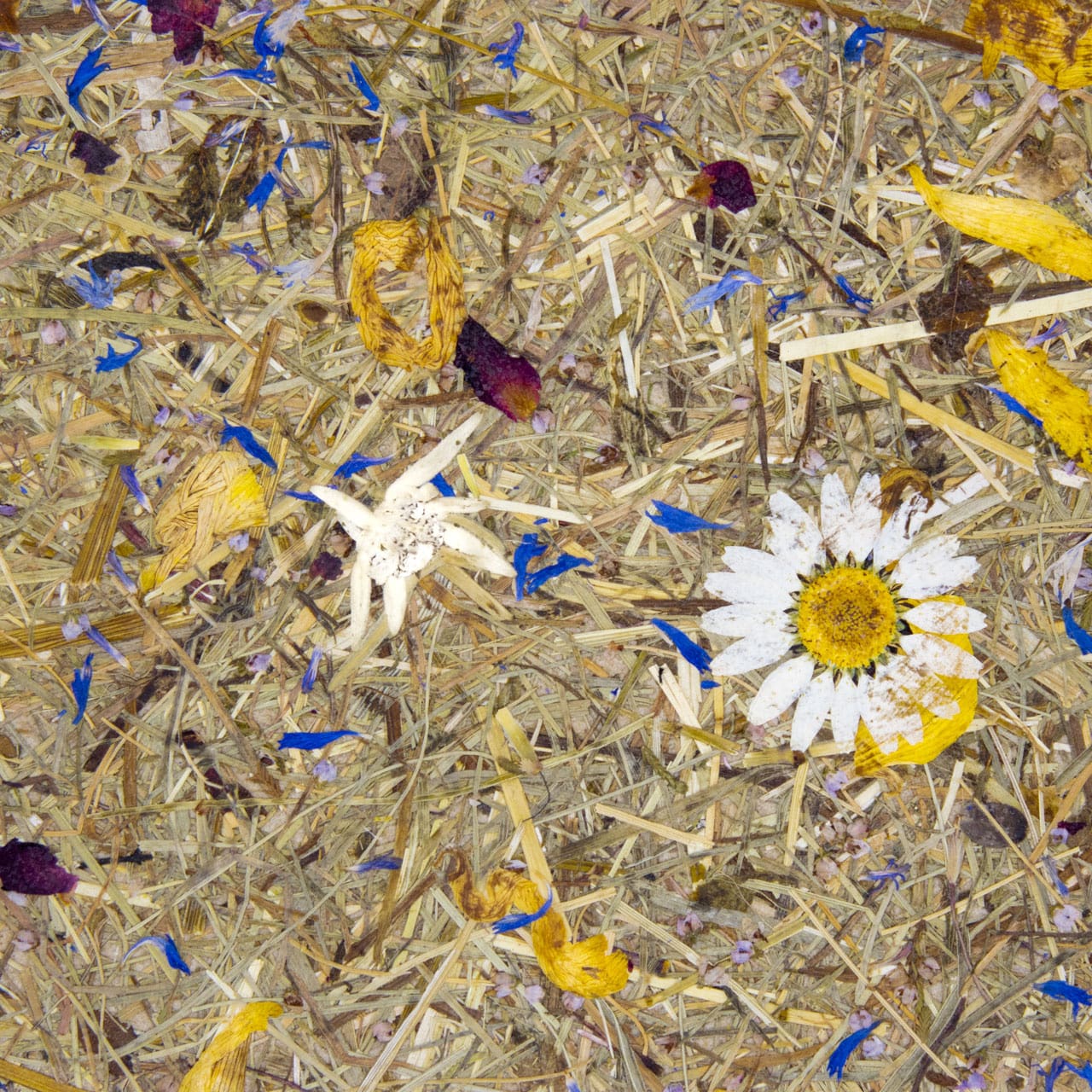 Papier Flora