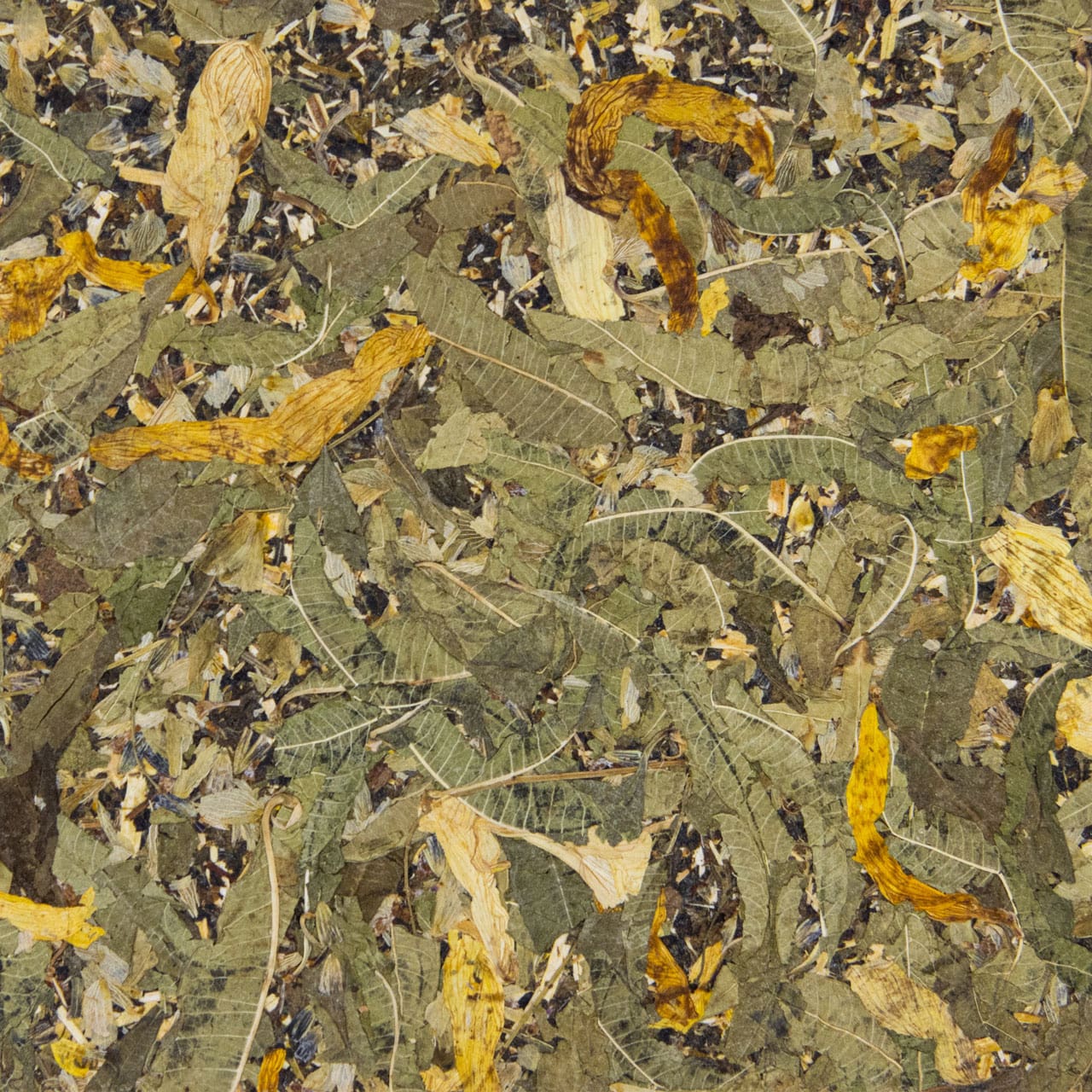 Papier Flora