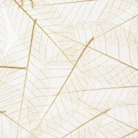 Papier Flora