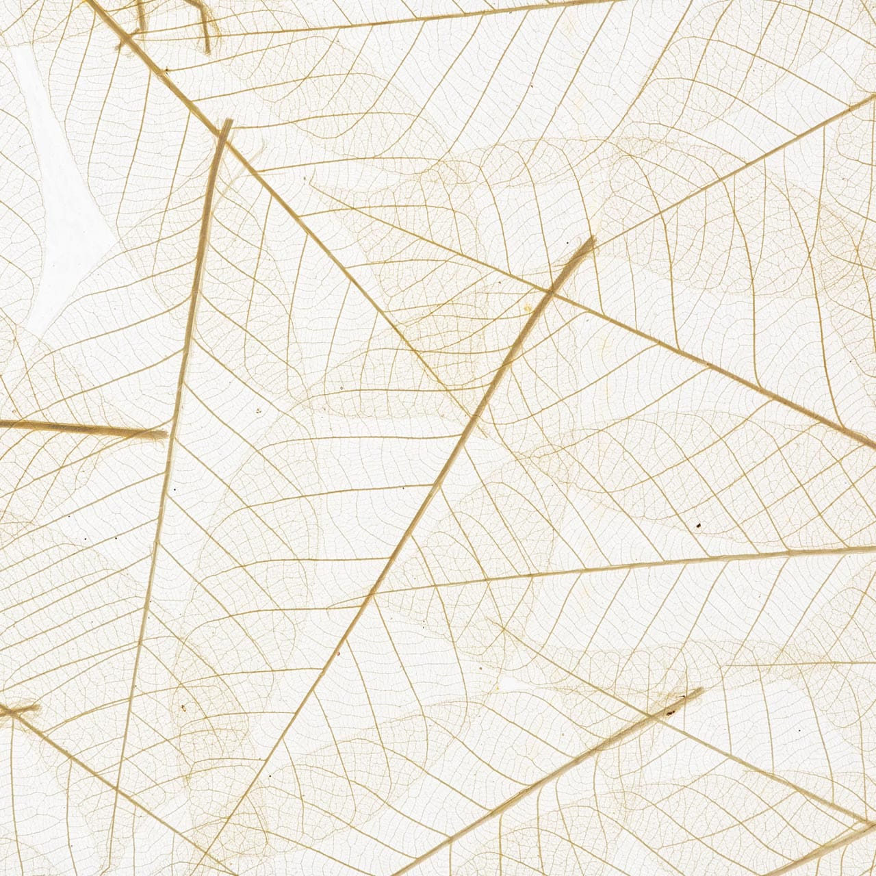 Papier Flora