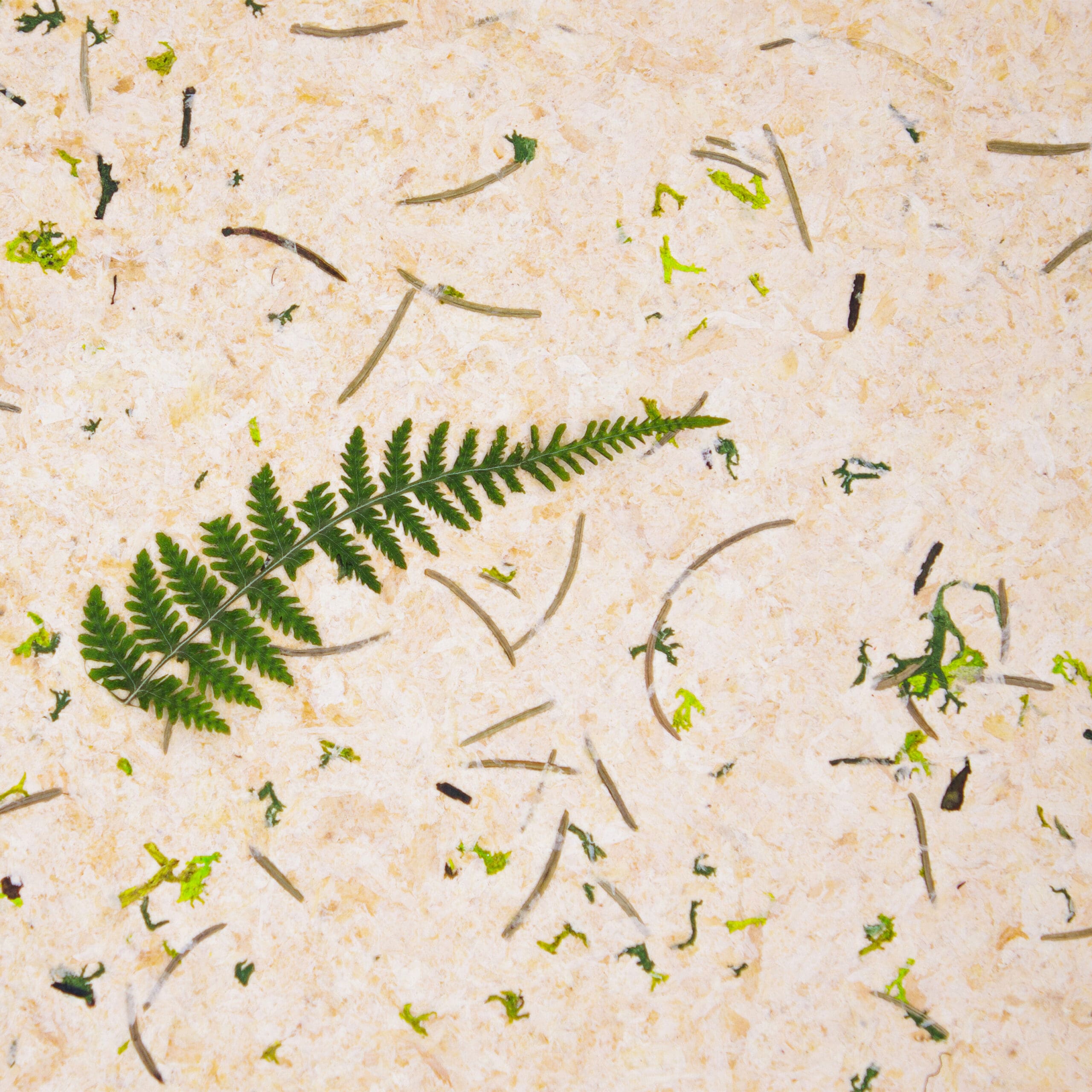 Papier Flora