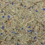 Wildspitze Blue Sky Papier Flora