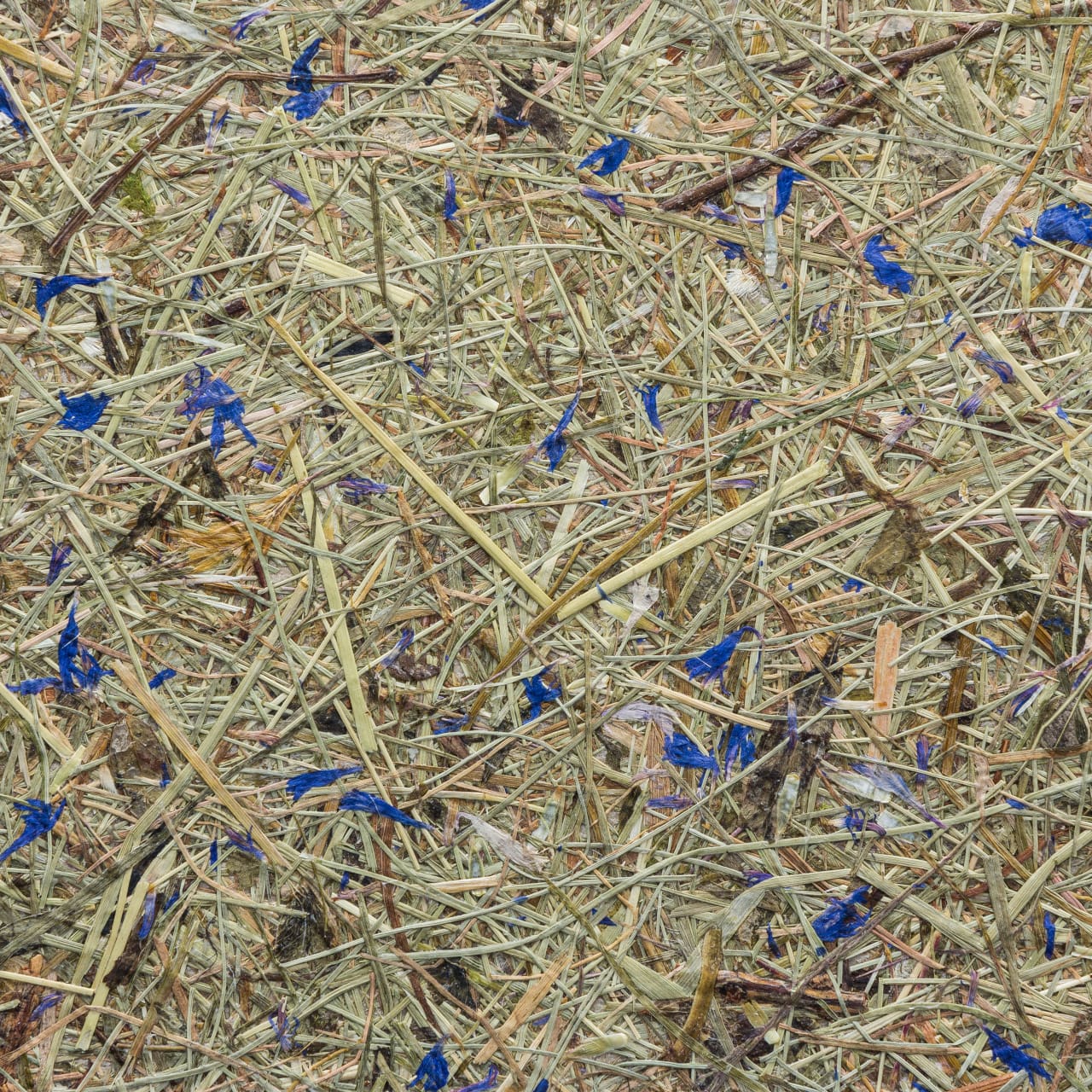 Papier Flora