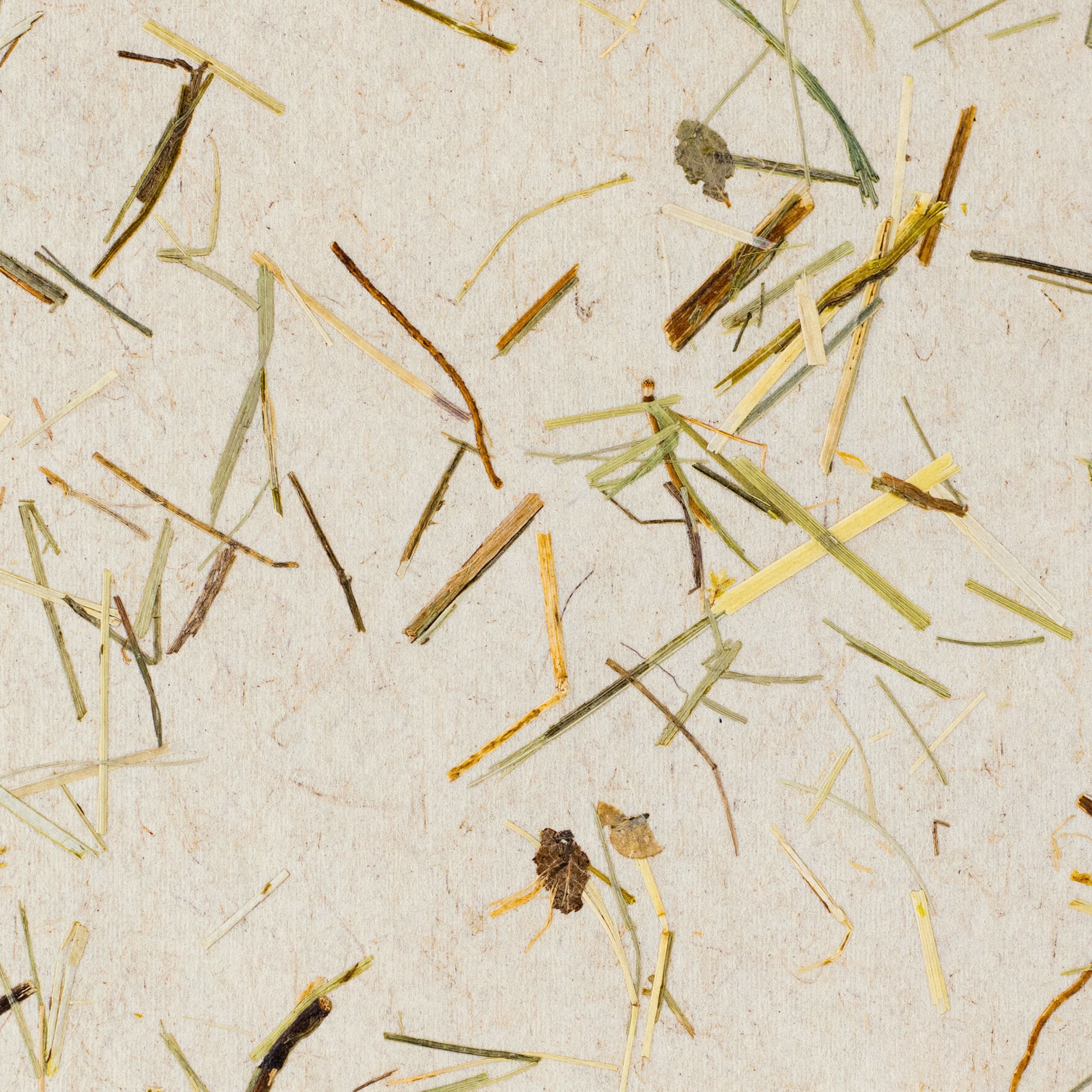 Papier Flora