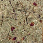 Wildspitze Rose Garden Papier Flora