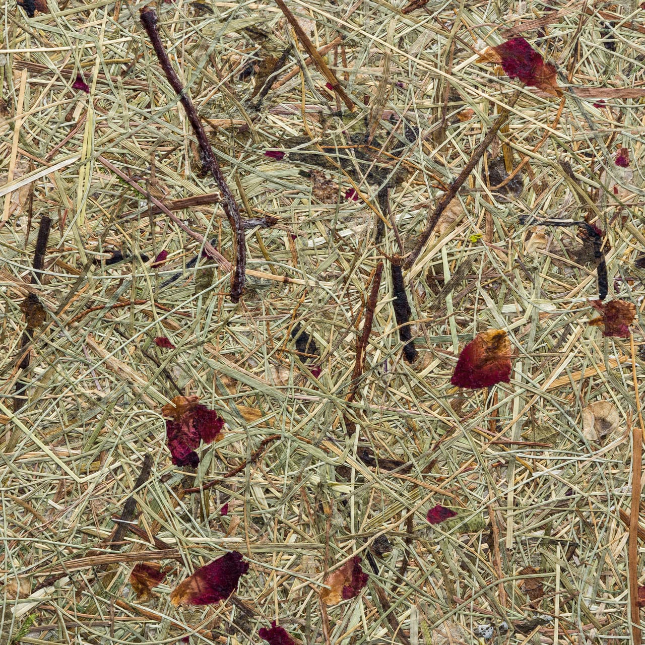 Papier Flora