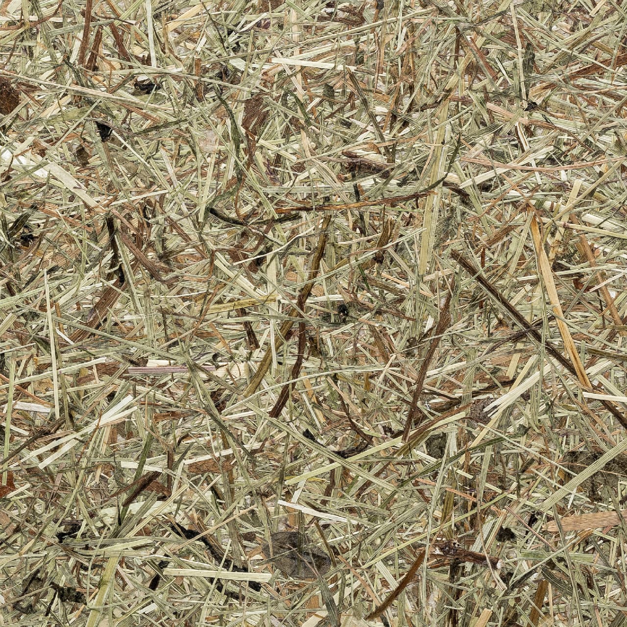 Papier Flora