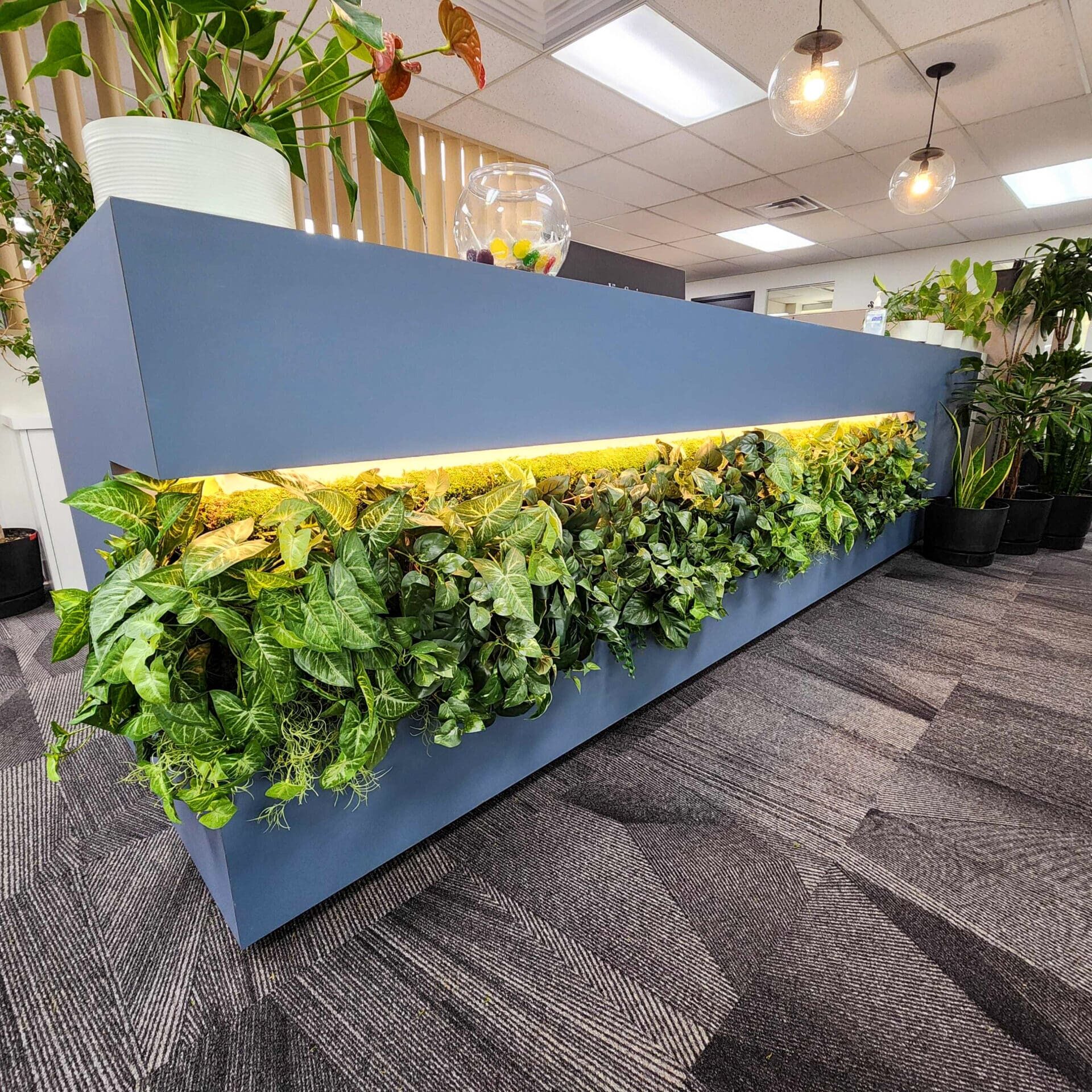 Woolsey Design Studio