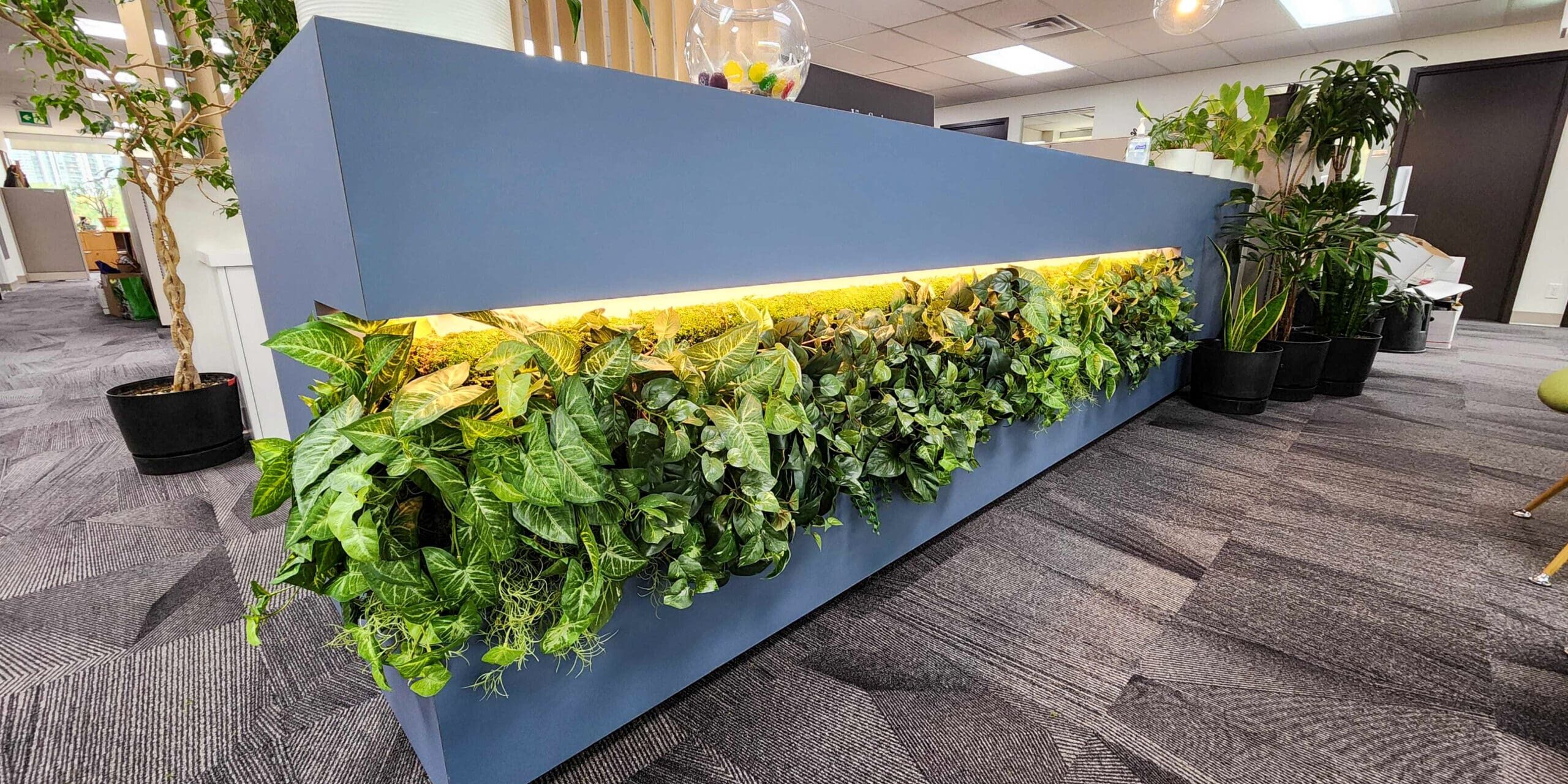 Woolsey Design Studio