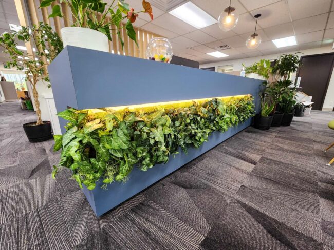 Woolsey Design Studio