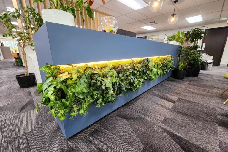 Woolsey Design Studio