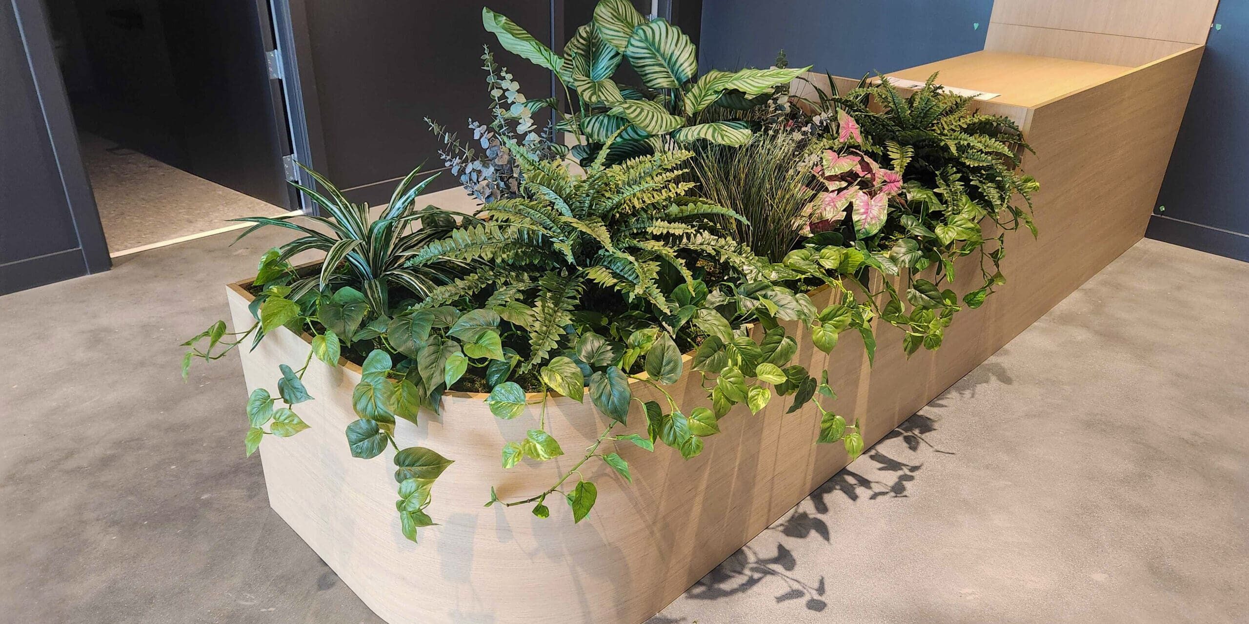 SW Marine Development