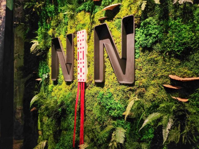 Minwashin Cultural Group