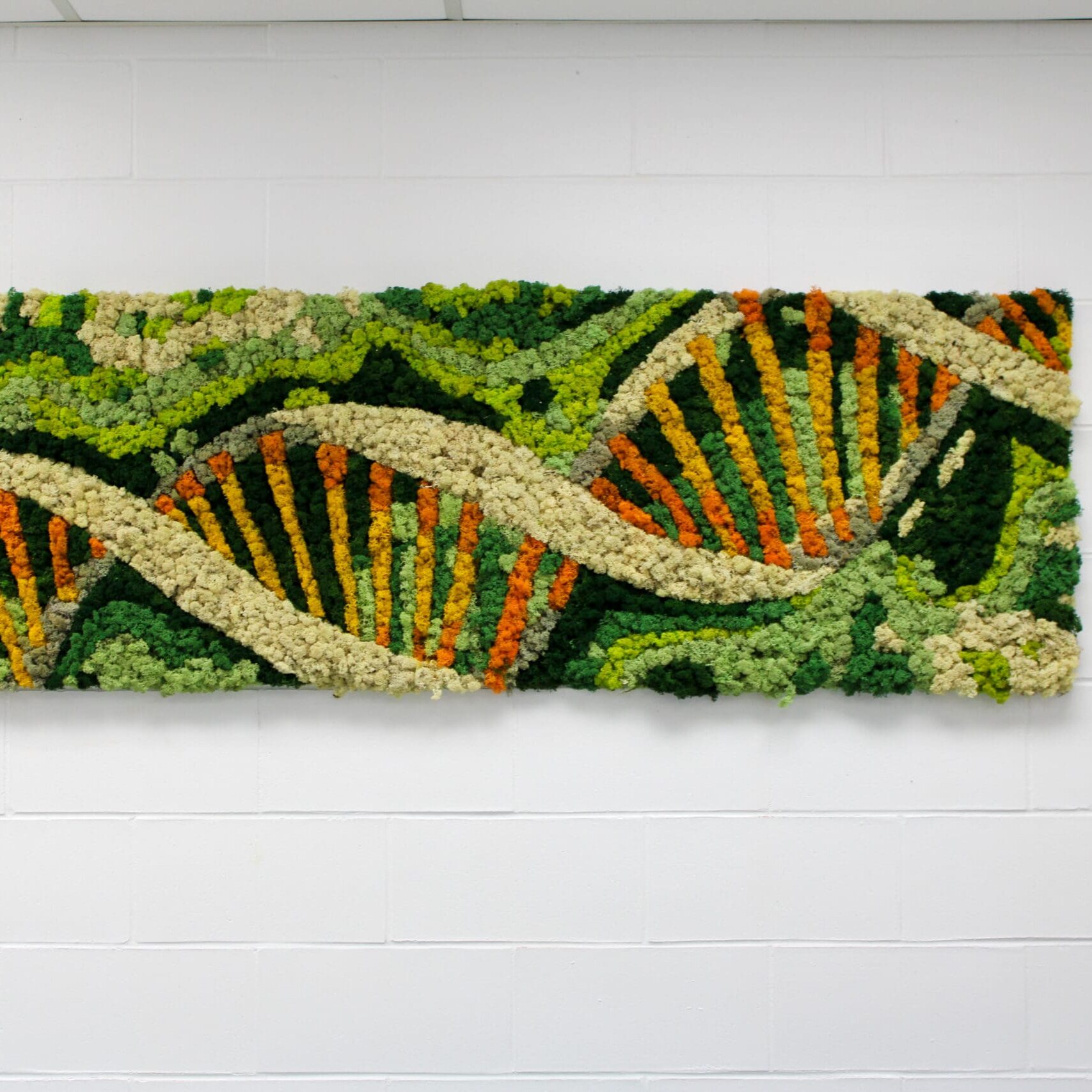 University of Toronto Mississauga