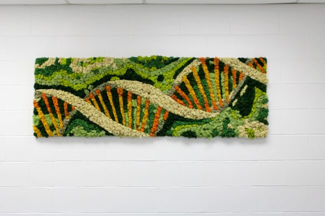 University of Toronto Mississauga