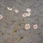 rosy everlasting rosy everlasting