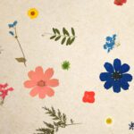 superbloom superbloom