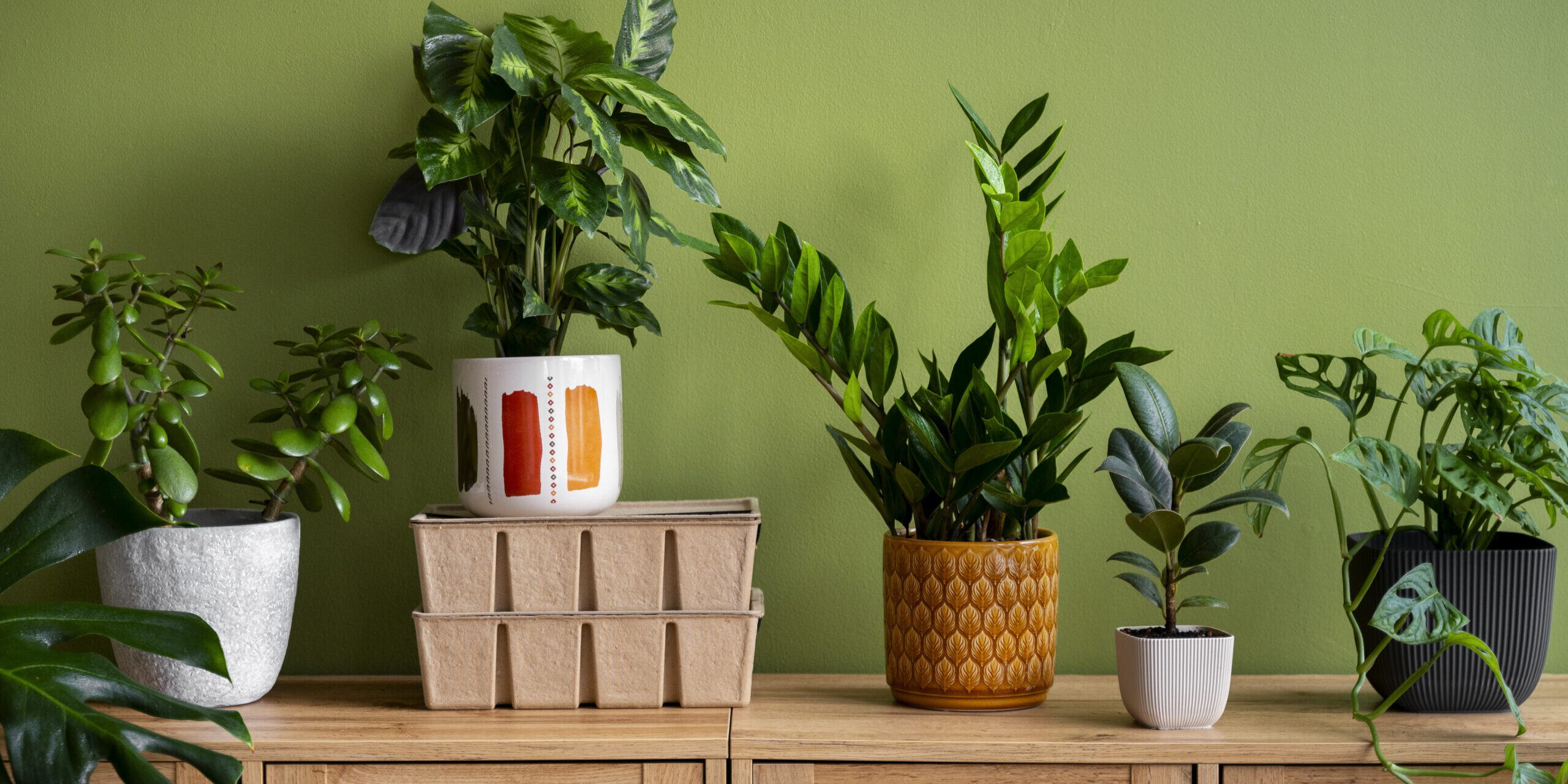 self watering planters self watering planters