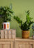 self watering planters