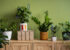 self watering planters
