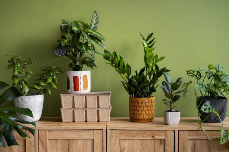 self watering planters self watering planters