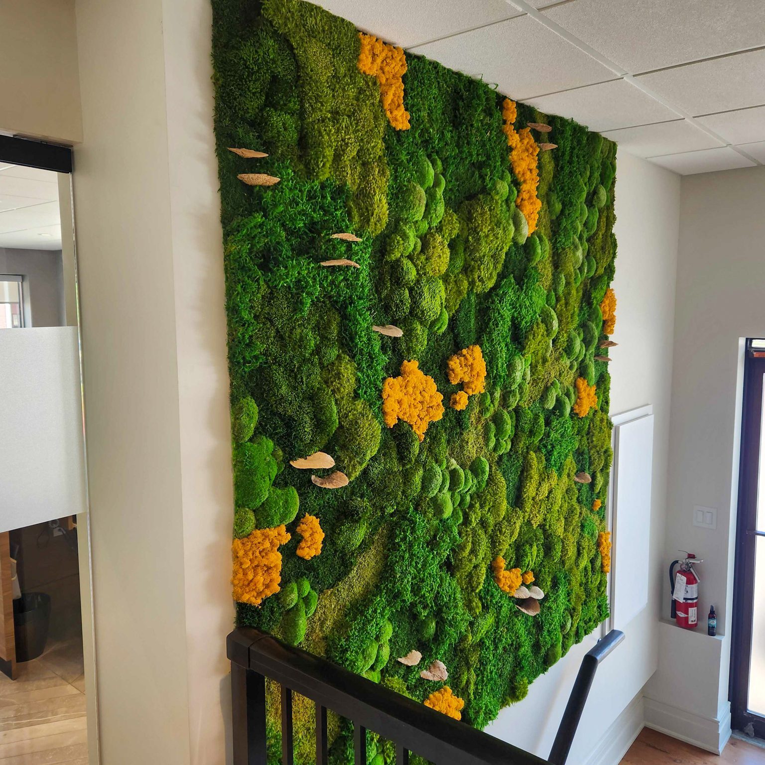 Terrain Dental Wellness