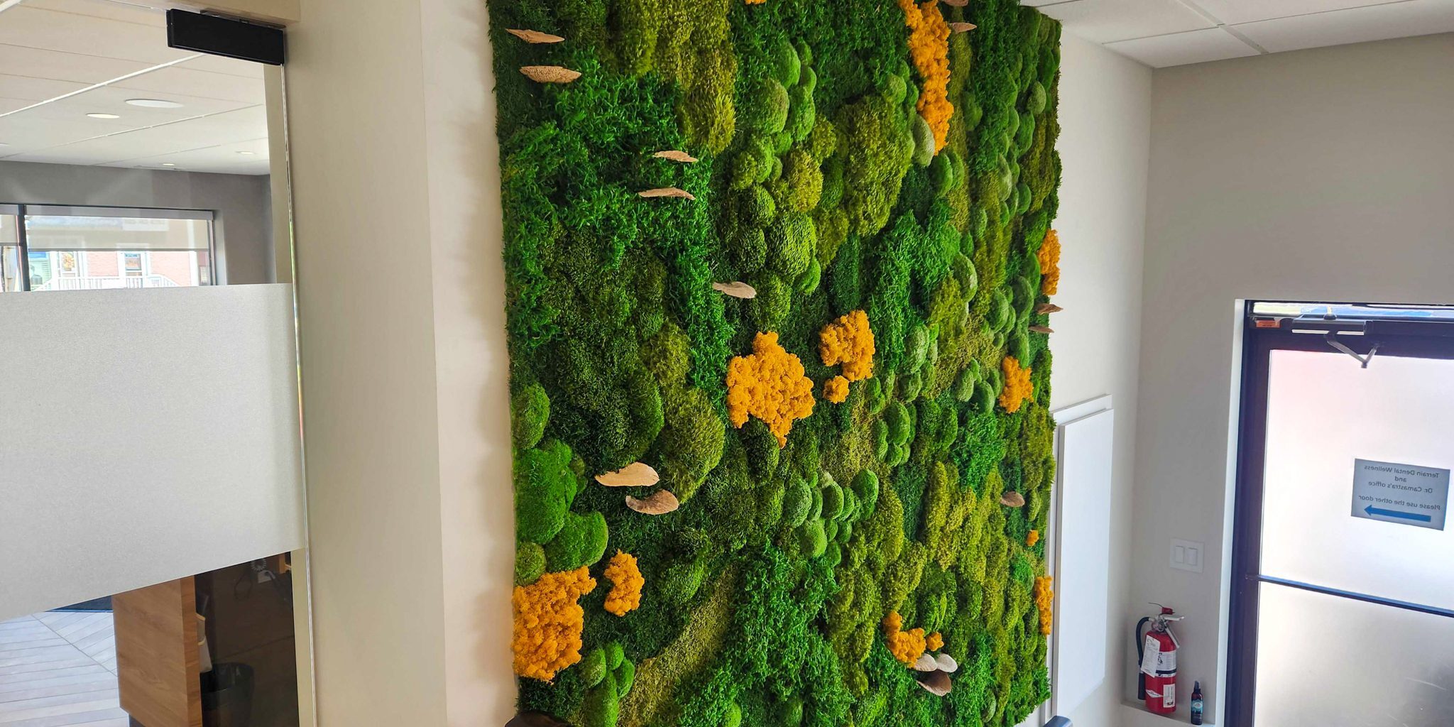 Terrain Dental Wellness