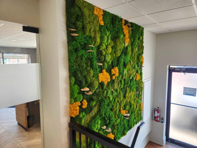 Terrain Dental Wellness