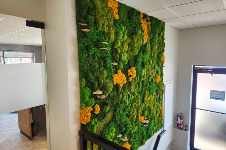 Terrain Dental Wellness